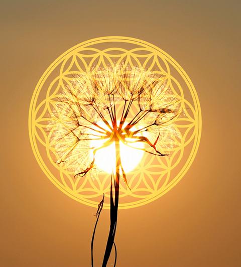 eyeCatcher Energetisches Arbeiten